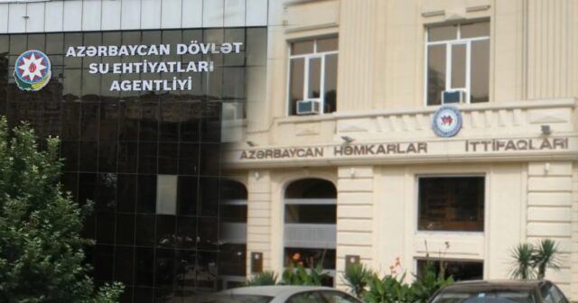 Həmkarlar ittifaqı, yoxsa rəhbərliyin “kölgə strukturu”?